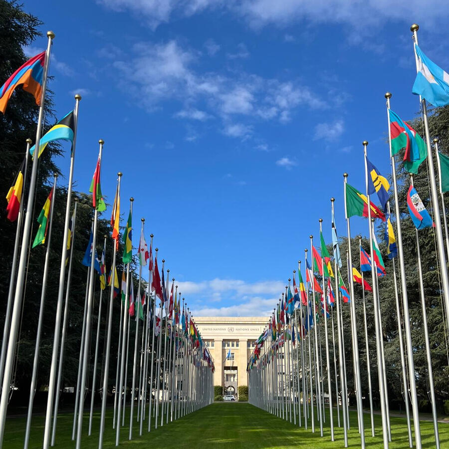 Consejo de Derechos Humanos de las Naciones Unidas, Ginebra (Suiza)